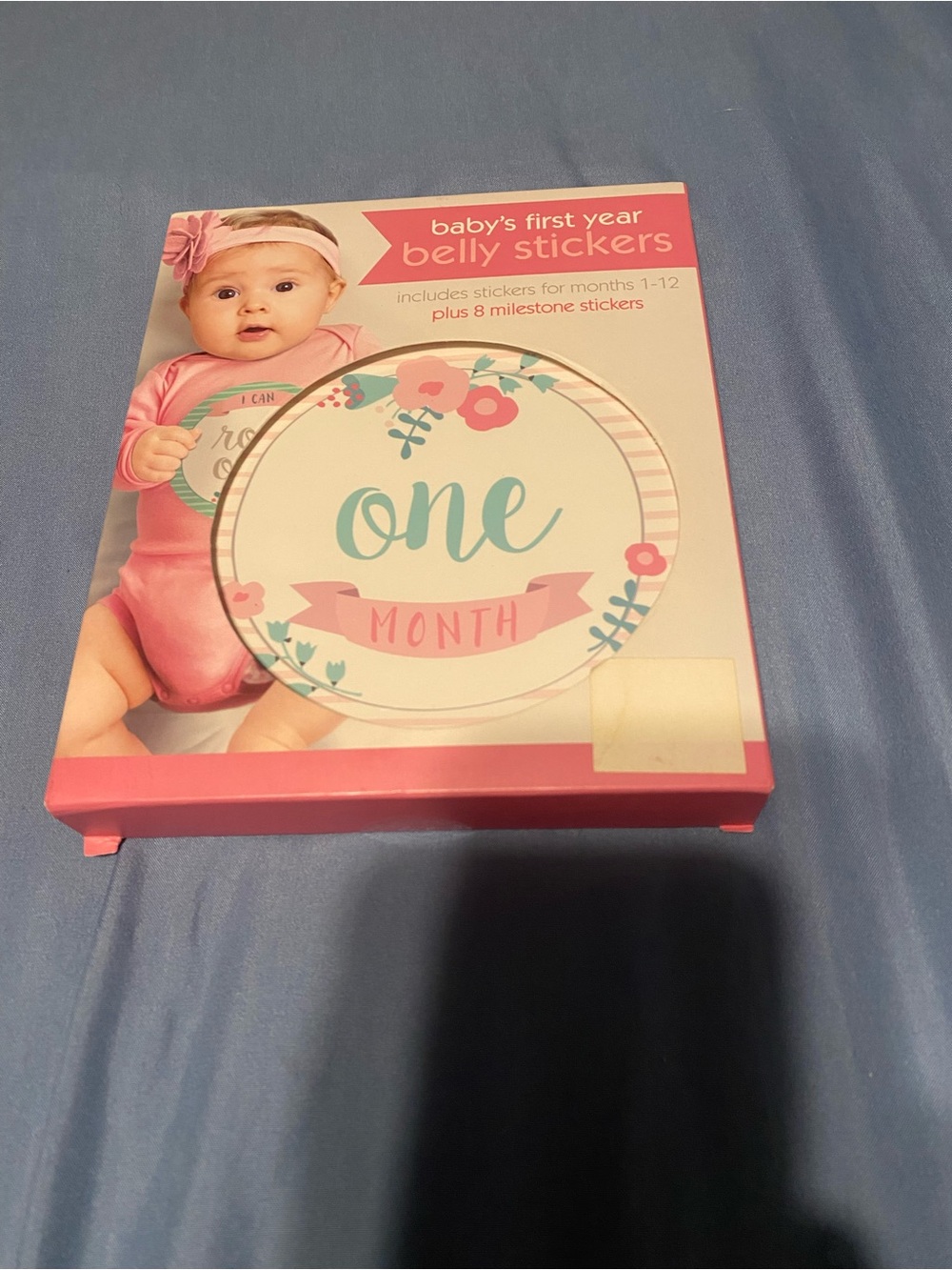 Baby's First Year Belly Stickers - Pink Floral One Month Set